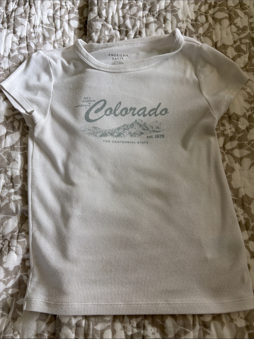 American Eagle Outfitters White Tee with  Colorado Graphic